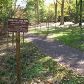 Tookany Creek Park