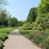Kelly Drive (Azalea Garden)
