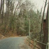 Wissahickon Park Covered Bridge