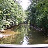 Lorimer Park