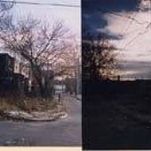Alley at Wallace Street