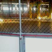 Rizzo Rink