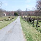 Tomorrow's Dream Farm
