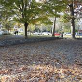 Clark Park