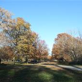FDR Park