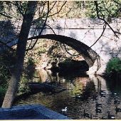 Wissahickon Valley Park and County Bridge