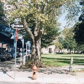 Tioga Station Park