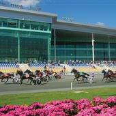 Harrah's Race Track