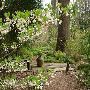 Chanticleer Gardens