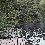 Nolde Forest/Environmental Educational Center