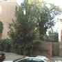 317 S. 11th Street