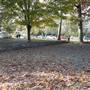 Clark Park