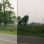 Sweet Home