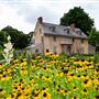 Bartram's Garden