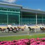 Harrah's Race Track