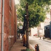 City Streets and Alleys