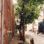 City Streets and Alleys