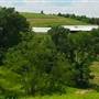 Matthew Family Farm