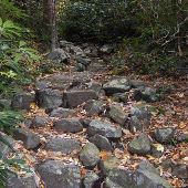 Appalachian Trail Delaware Water Gap