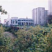 Callowhill