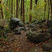 Ringing Rocks
