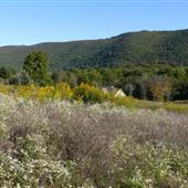 Hawk Mountain