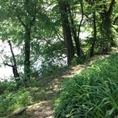River Rd