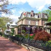Spruce Hill