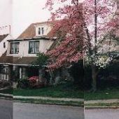 Cynwyd Road
