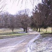 Kookaburra Farms