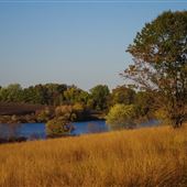 Marsh Creek State Park