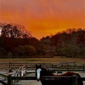 Sunset Valley Farm