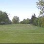 Meadow Brook