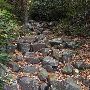 Appalachian Trail Delaware Water Gap