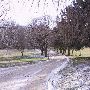 Kookaburra Farms