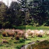 Churchville Reservoir