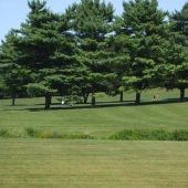 Clayton Park