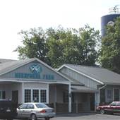 Merrymead Farm