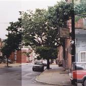 Belgrade & Montgomery Avenue
