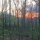Roundtop Mountain