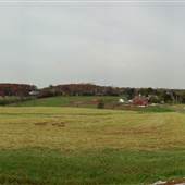 Haldeman Rd