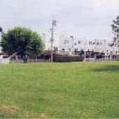 Denman Street Field