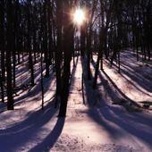 Ridley Creek State Park