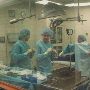 The Temple University School of Podiatric Medicine