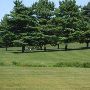 Clayton Park