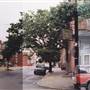 Belgrade & Montgomery Avenue