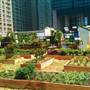 Pennsylvania Horticultural Society