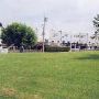 Denman Street Field