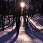 Ridley Creek State Park