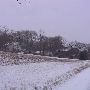 Apple Grove Road